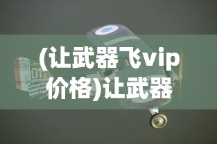(让武器飞vip价格)让武器飞VIP，游戏特权与体验解析
