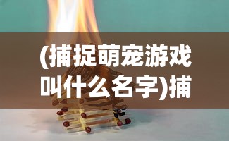 (捕捉萌宠游戏叫什么名字)捕捉萌宠游戏大全，热门游戏推荐与介绍