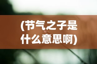 (节气之子是什么意思啊)节气之子，探寻传统节气文化的传承与创新