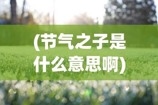 (节气之子是什么意思啊)节气之子，探寻传统节气文化的传承与创新