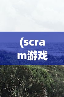 (scram游戏)Schiphalast游戏，探索未知的海上冒险之旅