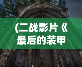(二战影片《最后的装甲列车》大结局)二战影片最后的装甲列车，战火中的英勇与抉择