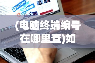 (电脑终端编号在哪里查)如何查看电脑终端机器编号，详细步骤与常见问答