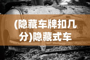 (隐藏车牌扣几分)隐藏式车牌，一种新型车牌技术的探索与解析