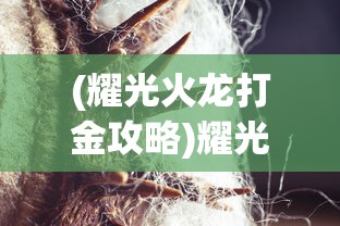 (耀光火龙打金攻略)耀光火龙战神攻略，如何获取耀光战神皮肤？