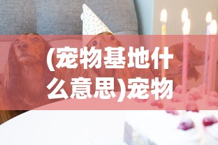 (宠物基地什么意思)宠物基地，功能与多元角色解析