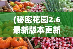 (秘密花园2.6最新版本更新内容)秘密花园2.6，探索与发现之旅