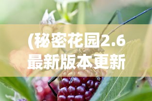 (秘密花园2.6最新版本更新内容)秘密花园2.6，探索与发现之旅