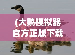 (大鹅模拟器官方正版下载2022最新版)大鹅模拟器官方正版，游戏介绍与常见问题解答