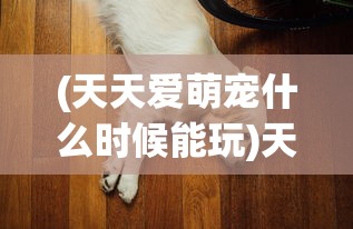 (天天爱萌宠什么时候能玩)天天爱萌宠，星灵宠物获取攻略