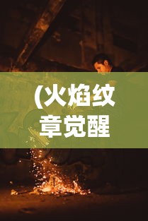 (火焰纹章觉醒贤者和暗黑骑士)火焰纹章觉醒暗黑骑士，深入解析与策略指南