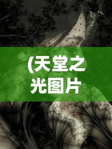 (天堂之光图片唯美意境)天堂之光的别称与神秘色彩