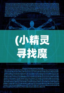 (小精灵寻找魔法石源码攻略)小精灵寻找魔法石源码之旅，探寻奇幻世界的编程奥秘