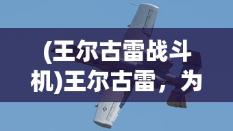 (王尔古雷战斗机)王尔古雷，为勇士喝彩，颂扬英勇之魂