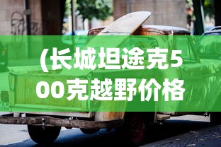 (长城坦途克500克越野价格)坦途克500克越野车型价格及性能分析