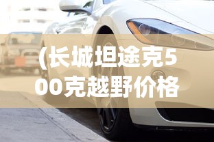 (长城坦途克500克越野价格)坦途克500克越野车型价格及性能分析