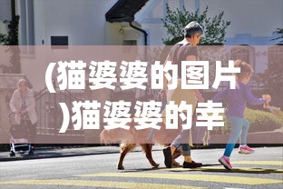 (猫婆婆的图片)猫婆婆的幸福公寓，免广告，温馨生活的独特体验