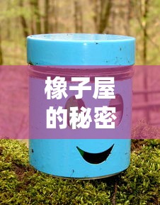 橡子屋的秘密，寻找河马多多宝藏的奇幻之旅