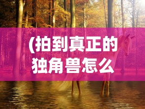 (拍到真正的独角兽怎么办)揭秘独角兽的真面目，捕捉神秘影像之旅