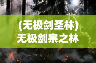 (无极剑圣林)无极剑宗之林沐雪，剑道传奇中的女侠风采