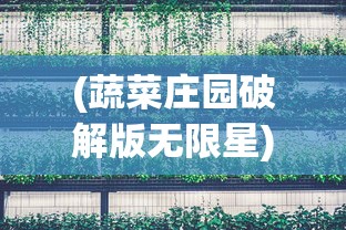 (蔬菜庄园破解版无限星)蔬菜庄园手游app，种植乐趣与虚拟农场的完美结合