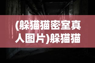 (兰陵王妃游戏剧情攻略)兰陵王妃手游更名解析，新篇章的开启