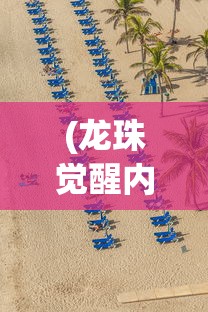 (龙珠觉醒内购版2024最新版本更新)龙珠觉醒内购版，深度解析与探讨