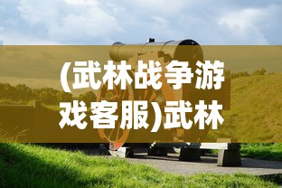 (武林战争游戏客服)武林战争客服，游戏与玩家的桥梁