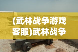 (武林战争游戏客服)武林战争客服，游戏与玩家的桥梁