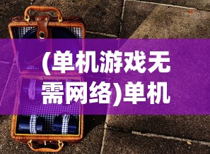 (单机游戏无需网络)单机游戏，独立乐趣的沉浸式体验