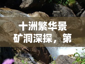 十洲繁华景矿洞深探，第五层之谜
