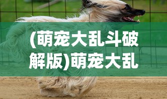 (萌宠大乱斗破解版)萌宠大乱斗，一场别开生面的宠物竞技盛宴