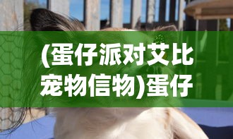 (蛋仔派对艾比宠物信物)蛋仔派对中的独特伙伴，艾比宠物的魅力解析