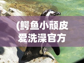(鳄鱼小顽皮爱洗澡官方安装破解版)鳄鱼小顽皮爱洗澡官方安装攻略及常见问题解答