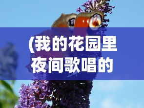 (我的花园里夜间歌唱的蟋蟀非常多英语)夜间花园的蟋蟀大合唱——一场自然的交响乐