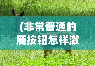 (非常普通的鹿按钮怎样激活)非常普通的鹿游戏安装指南