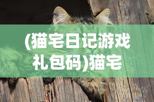 (猫宅日记游戏礼包码)猫宅日记游戏，探索猫咪生活的独特魅力与乐趣