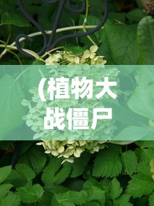 (植物大战僵尸经典版下载安装免费)植物大战僵尸经典版，一场策略与勇气的较量