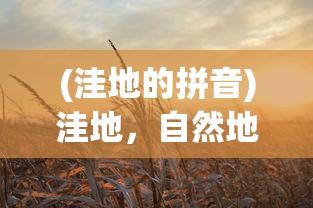 (洼地的拼音)洼地，自然地理现象与生态价值的探索
