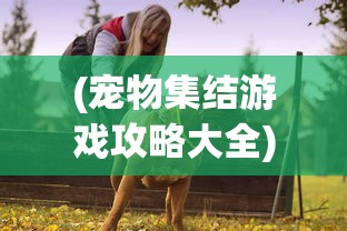 (宠物集结游戏攻略大全)宠物集结游戏攻略大全，从入门到精通