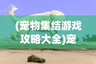 (宠物集结游戏攻略大全)宠物集结游戏攻略大全，从入门到精通