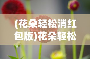(花朵轻松消红包版)花朵轻松消，游戏魅力与玩法解析