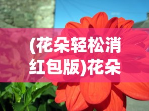 (花朵轻松消红包版)花朵轻松消，游戏魅力与玩法解析