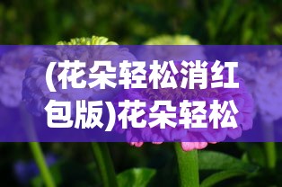 (王者战神传奇手游官网)王者战神传奇，荣耀之战的传奇之旅
