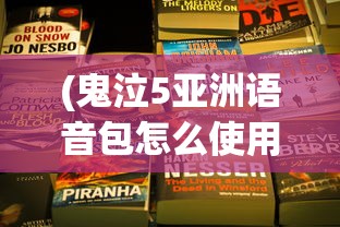 (鬼泣5亚洲语音包怎么使用)鬼泣5，亚洲语言包还是英文？游戏语言选择的深度解析
