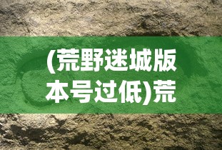 (荒野迷城版本号过低)荒野迷城老版本，回忆与探索