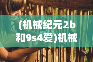 (机械纪元2b和9s4爱)机械纪元2B，深度解析与探索