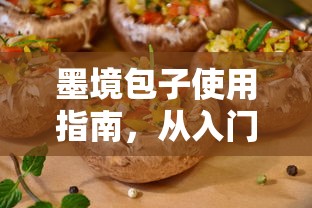 墨境包子使用指南，从入门到精通的全面教程