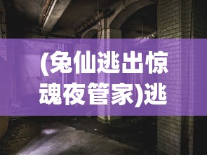 (兔仙逃出惊魂夜管家)逃出惊魂夜，红温与鬼追捕者的追逐游戏