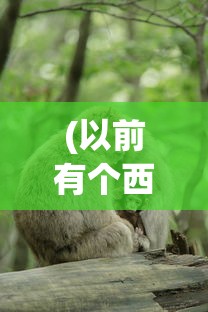 (以前有个西游回合制的游戏托塔天王六耳猕猴)以前有个西游回合制的游戏，重温经典，探索回合制策略的魅力